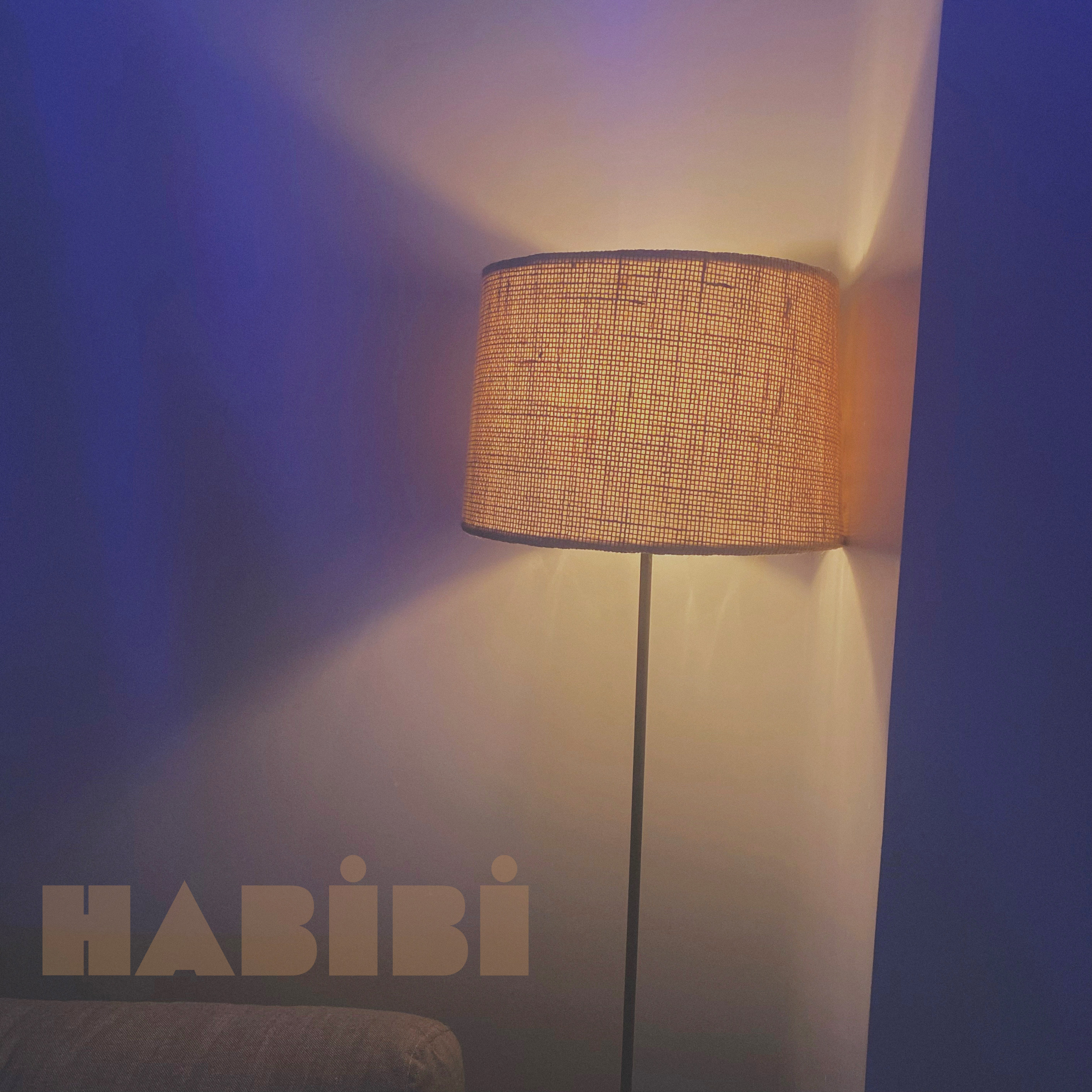 HABIBI